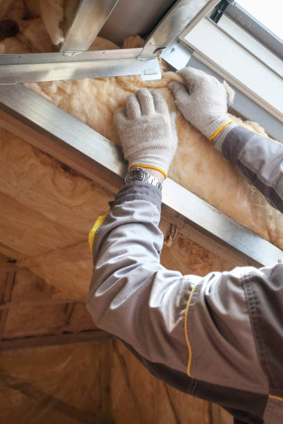 Best Blown-In Insulation  in Sarasota Springs, FL