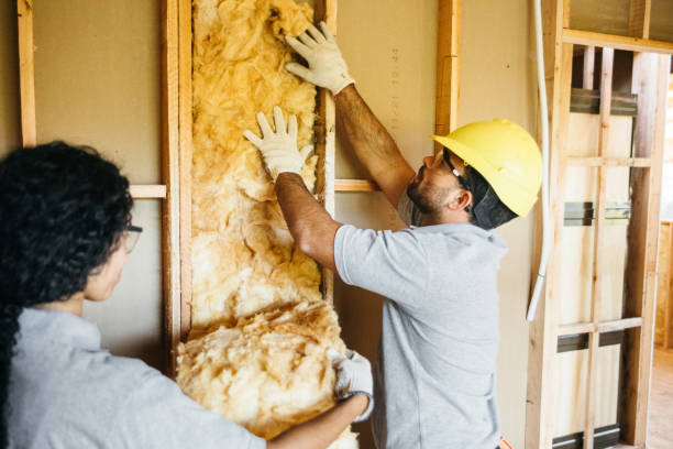 Best Soundproof Insulation  in Sarasota Springs, FL